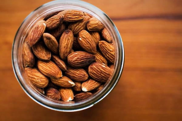 تصویر 1 از قیمت خرید بادام تلخ درختی با فروش عمده